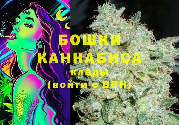 mix Богородицк